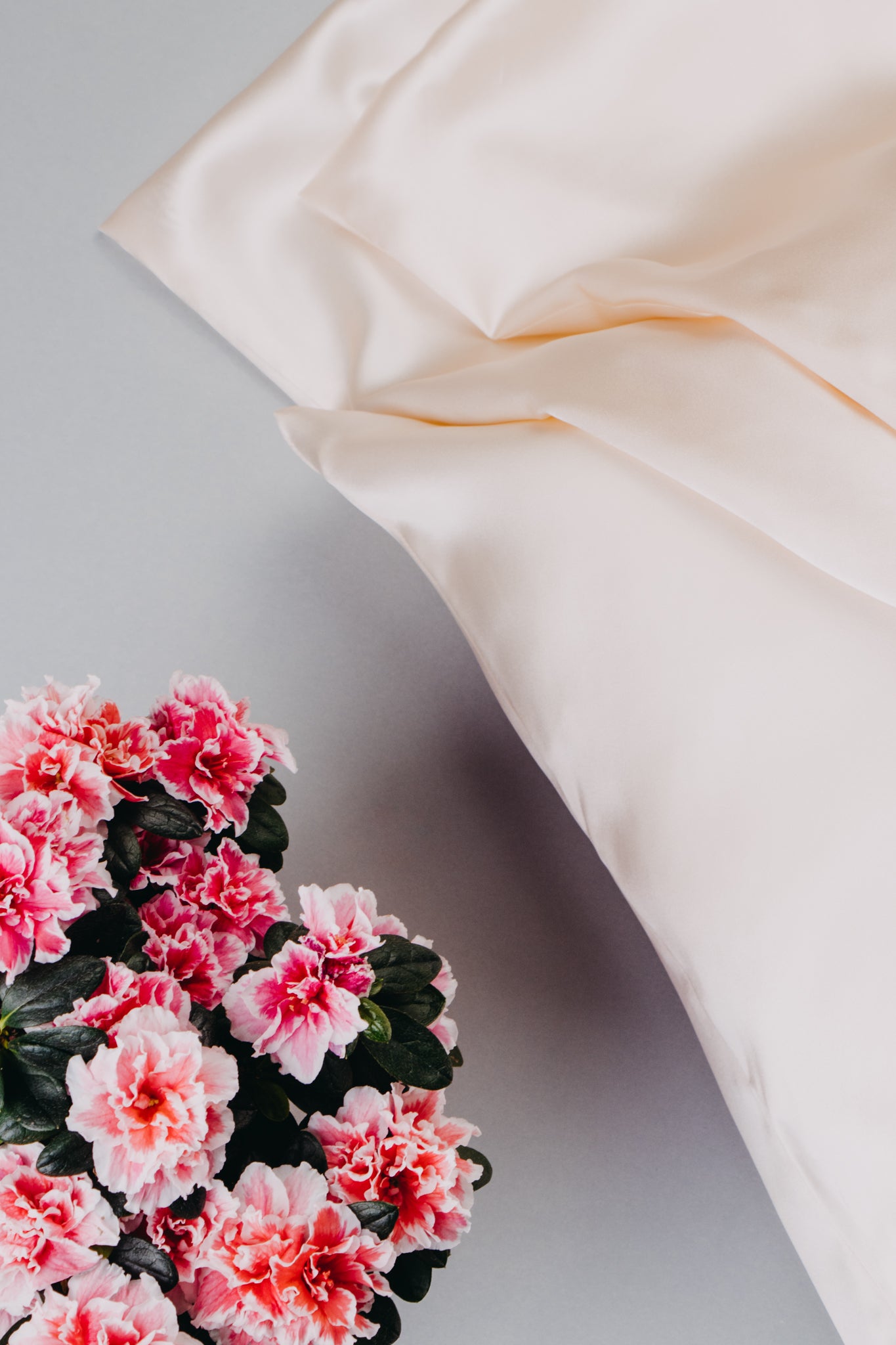 Zīda spilvendrāna, šampanieša krāsa